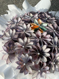 13140 Cash ONLY Bouquet - FLOWERHOLIC