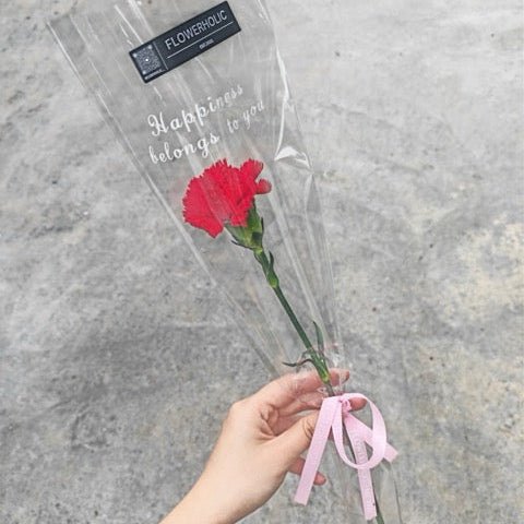 Single Carnation Mini Bouquet RM10 - FLOWERHOLIC