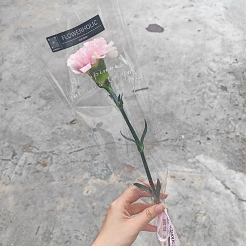Single Carnation Mini Bouquet RM10 - FLOWERHOLIC
